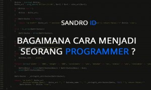 Bagaimana cara untuk menjadi seorang programmer?